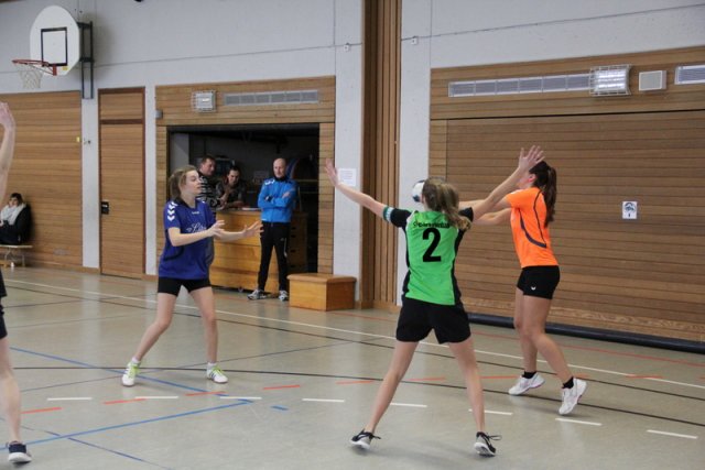 2017_01_08 Landesliga Frauen u. J19